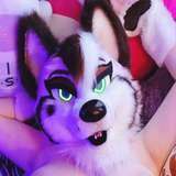 sundaehuskie from onlyfans