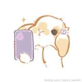 _bunni_sammi from fansly