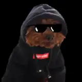 XCobraModding from patreon