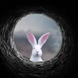 What is real? from patreon
