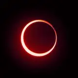 Studio ECLYPSE  from patreon