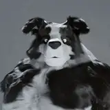 AmarokBStudio from patreon