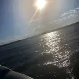 Iguana11 from patreon
