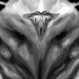 Nihilophant from patreon