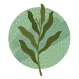 leafmotif from patreon