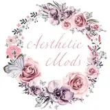 aestheticmods from patreon