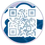 LossTunes - Shop from gumroad