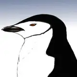 Penguin from fanbox