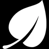 whiteleafstudio from patreon