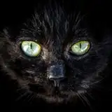 invertoalbedo from patreon