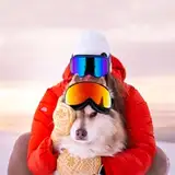 ceciliablomdahl from patreon